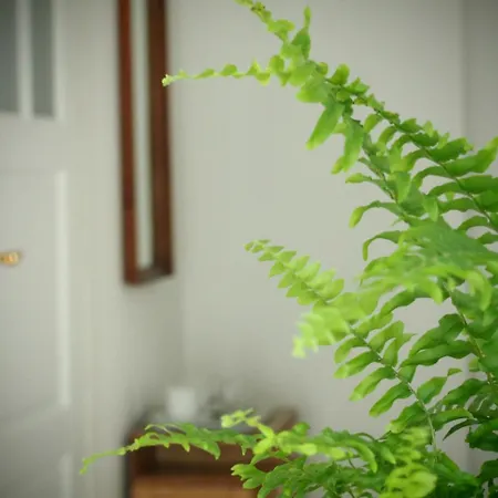 Alojamento de Turismo Rural Alpakarium, Hodowla Alpak & *