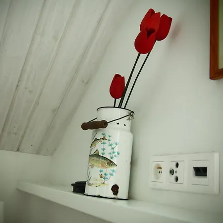 Alpakarium, Hodowla Alpak & Alojamento de Turismo Rural Stara Kornica