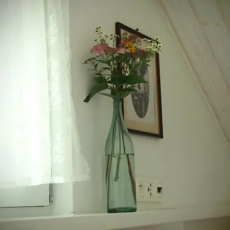 Alpakarium, Hodowla Alpak & * Stara Kornica