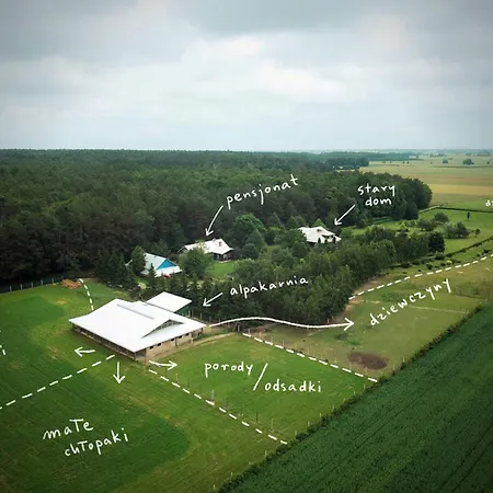 Alojamento de Turismo Rural Alpakarium, Hodowla Alpak & Stara Kornica