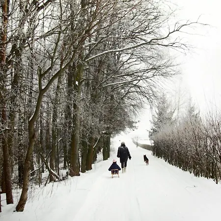 Alojamento de Turismo Rural Alpakarium, Hodowla Alpak & *
