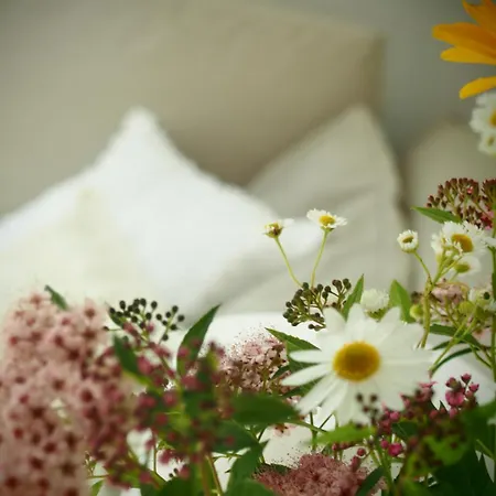 Alpakarium, Hodowla Alpak & Stara Kornica