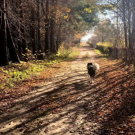 Alpakarium, Hodowla Alpak & Stara Kornica