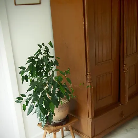 Alojamento de Turismo Rural Alpakarium, Hodowla Alpak &