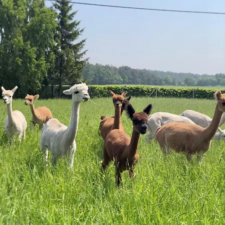 Alpakarium, Hodowla Alpak & Alojamento de Turismo Rural *