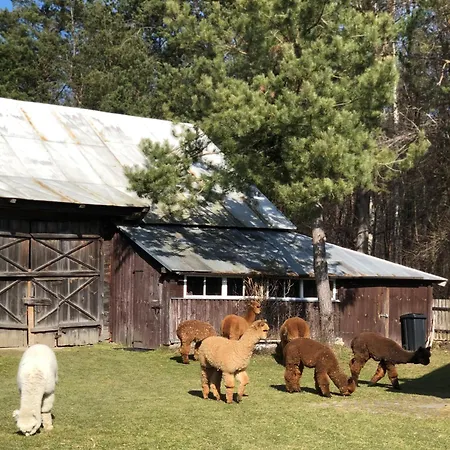 Alojamento de Turismo Rural Alpakarium, Hodowla Alpak & *