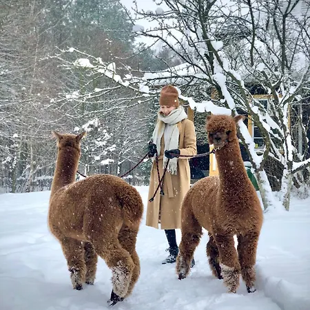 Alpakarium, Hodowla Alpak & Alojamento de Turismo Rural Stara Kornica