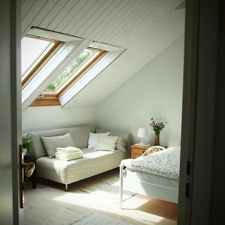 Alpakarium, Hodowla Alpak & *