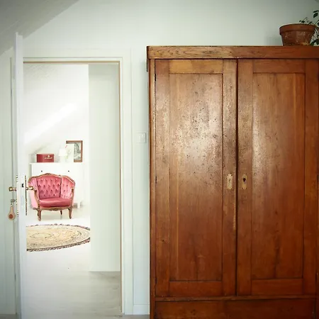 Alpakarium, Hodowla Alpak & *