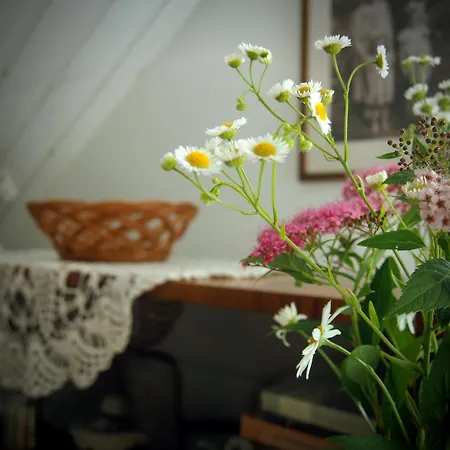 Alojamento de Turismo Rural Alpakarium, Hodowla Alpak & *