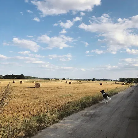 Alojamento de Turismo Rural Alpakarium, Hodowla Alpak & *