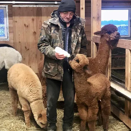 Alpakarium, Hodowla Alpak & Alojamento de Turismo Rural Stara Kornica