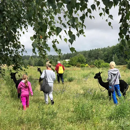 Alojamento de Turismo Rural Alpakarium, Hodowla Alpak & Stara Kornica