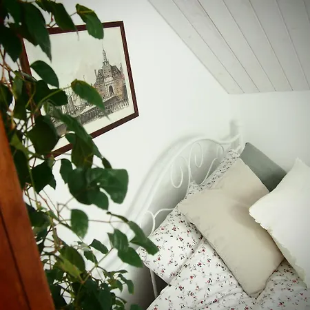 Alojamento de Turismo Rural Alpakarium, Hodowla Alpak &