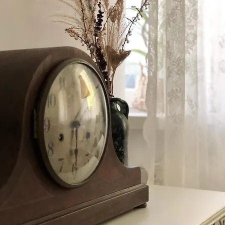 Alpakarium, Hodowla Alpak & Alojamento de Turismo Rural Stara Kornica