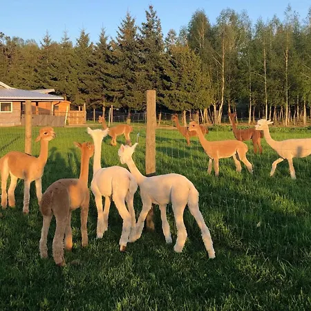 Alpakarium, Hodowla Alpak & Alojamento de Turismo Rural Stara Kornica