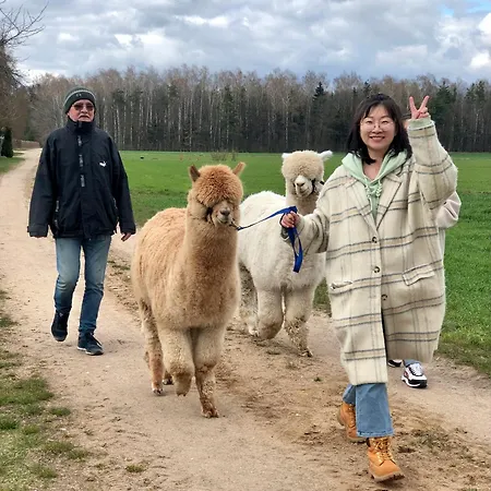 Alpakarium, Hodowla Alpak & *