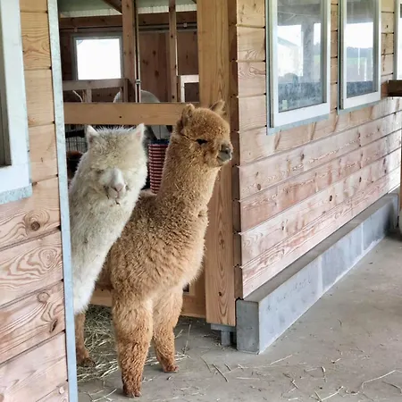 Alojamento de Turismo Rural Alpakarium, Hodowla Alpak & *
