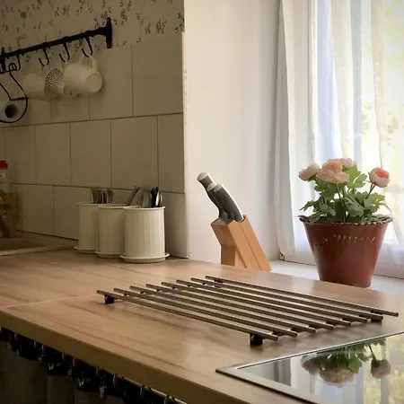 Alpakarium, Hodowla Alpak & * Stara Kornica