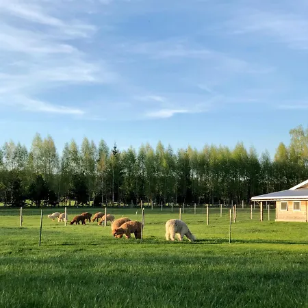 Alojamento de Turismo Rural Alpakarium, Hodowla Alpak &