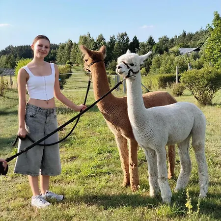 Alpakarium, Hodowla Alpak & Alojamento de Turismo Rural
