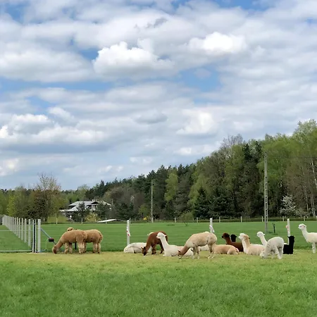 Alojamento de Turismo Rural Alpakarium, Hodowla Alpak &