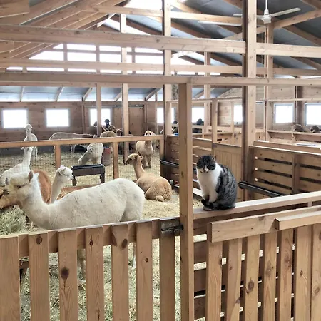 Alojamento de Turismo Rural Alpakarium, Hodowla Alpak &