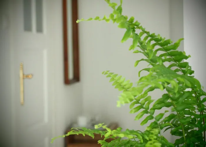 Séjour à la ferme Alpakarium, Hodowla Alpak & *