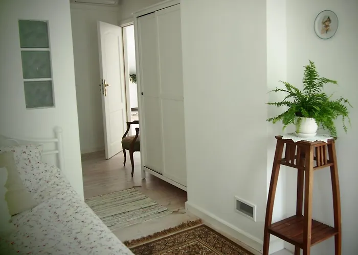 Alpakarium, Hodowla Alpak & Stara Kornica