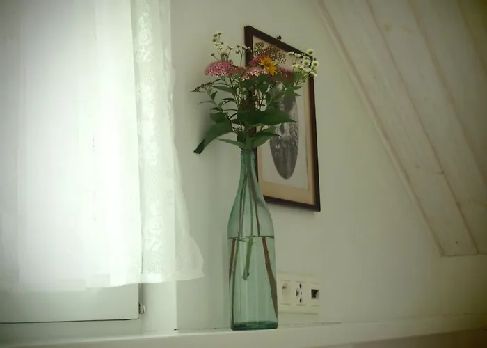 Alpakarium, Hodowla Alpak & * Stara Kornica