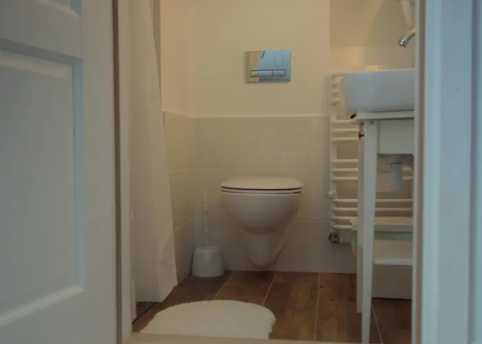 Séjour à la ferme Alpakarium, Hodowla Alpak &