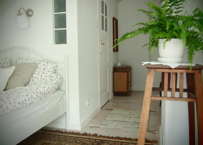 Alpakarium, Hodowla Alpak & Séjour à la ferme Stara Kornica