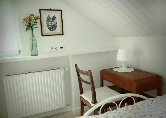 Alpakarium, Hodowla Alpak & * Stara Kornica