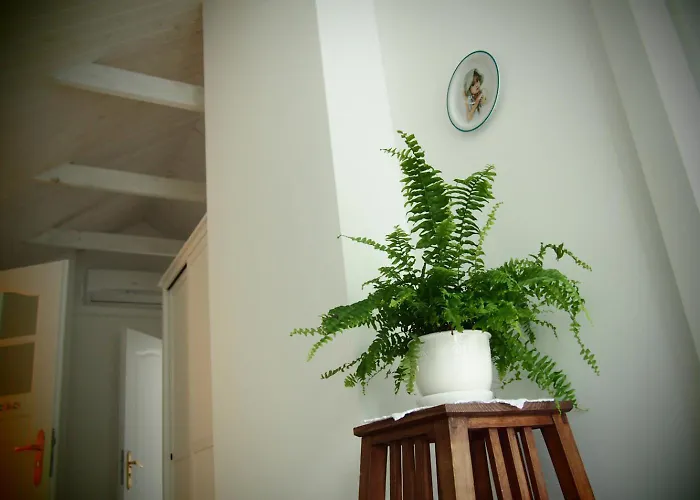 Alpakarium, Hodowla Alpak & Séjour à la ferme