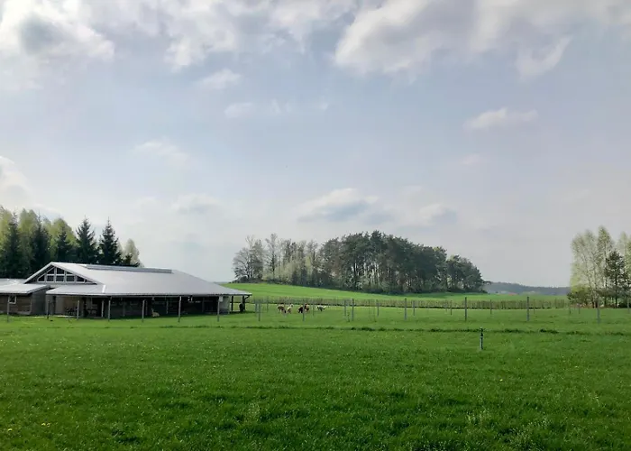 Séjour à la ferme Alpakarium, Hodowla Alpak &