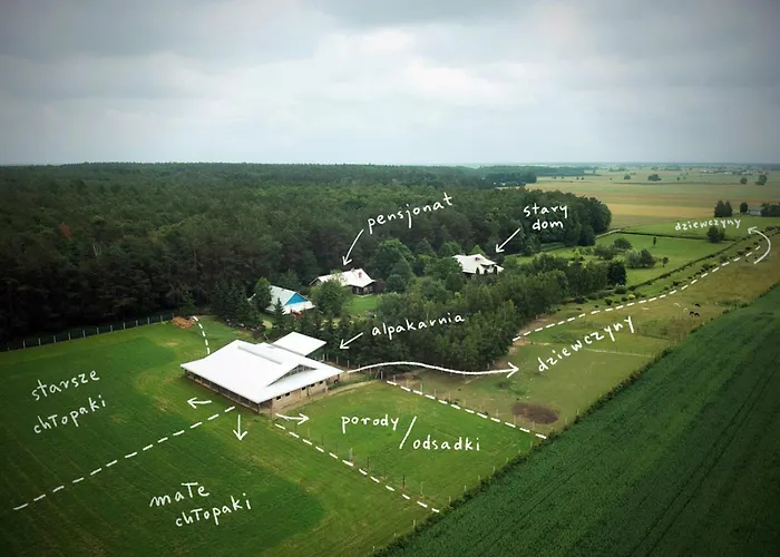 Séjour à la ferme Alpakarium, Hodowla Alpak & Stara Kornica