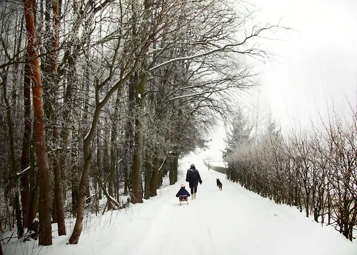 Séjour à la ferme Alpakarium, Hodowla Alpak & *
