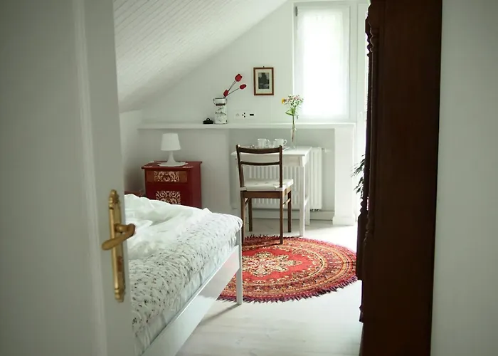 Alpakarium, Hodowla Alpak & Séjour à la ferme Stara Kornica