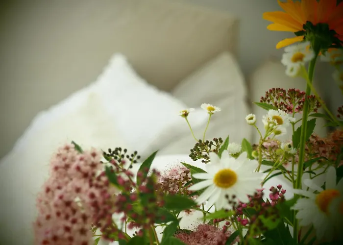 Alpakarium, Hodowla Alpak & Stara Kornica