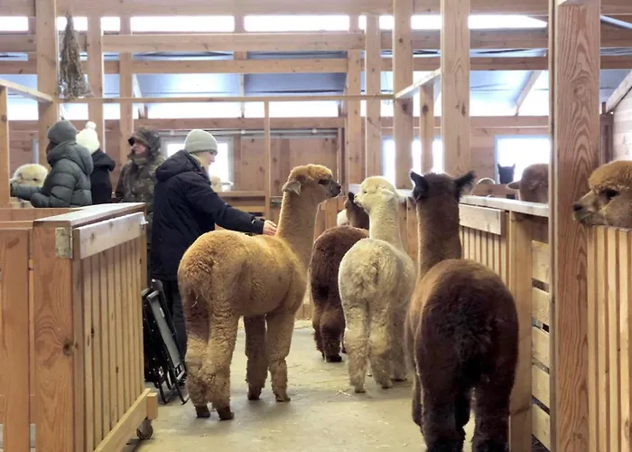 Alpakarium, Hodowla Alpak & Séjour à la ferme