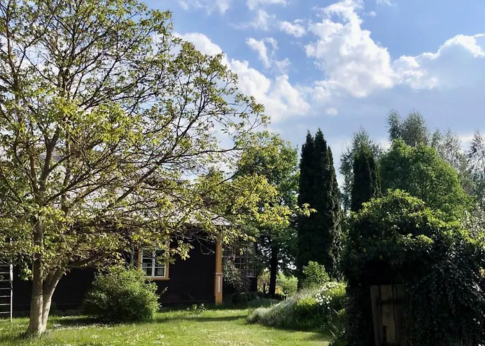 Alpakarium, Hodowla Alpak &