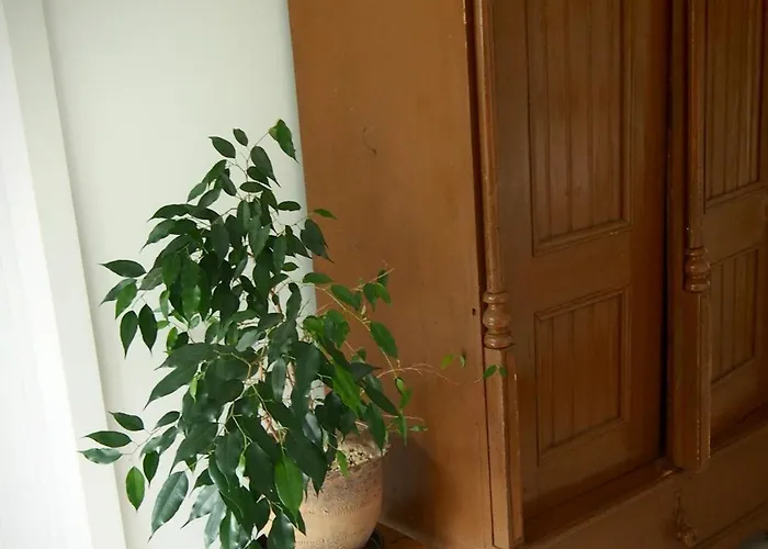 Séjour à la ferme Alpakarium, Hodowla Alpak &