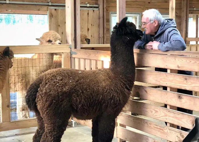 Alpakarium, Hodowla Alpak & * Stara Kornica