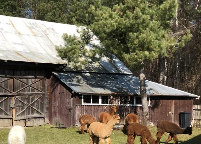 Séjour à la ferme Alpakarium, Hodowla Alpak & *