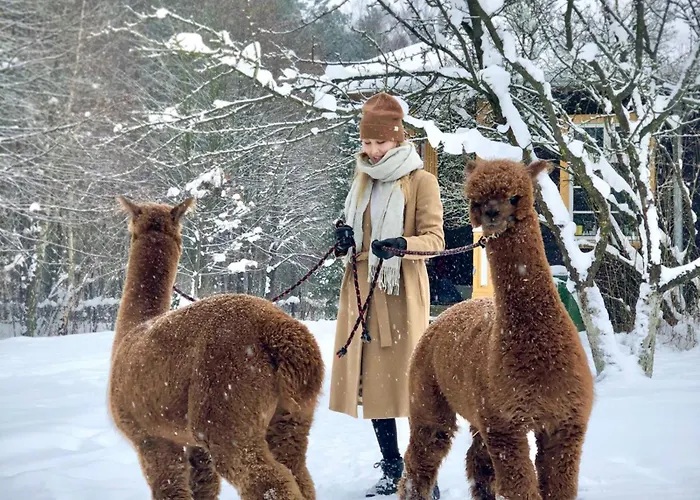 Alpakarium, Hodowla Alpak & Séjour à la ferme Stara Kornica