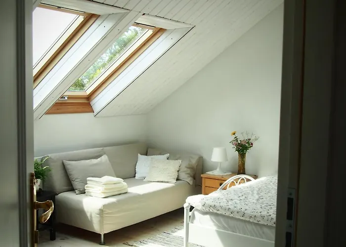 Alpakarium, Hodowla Alpak & *