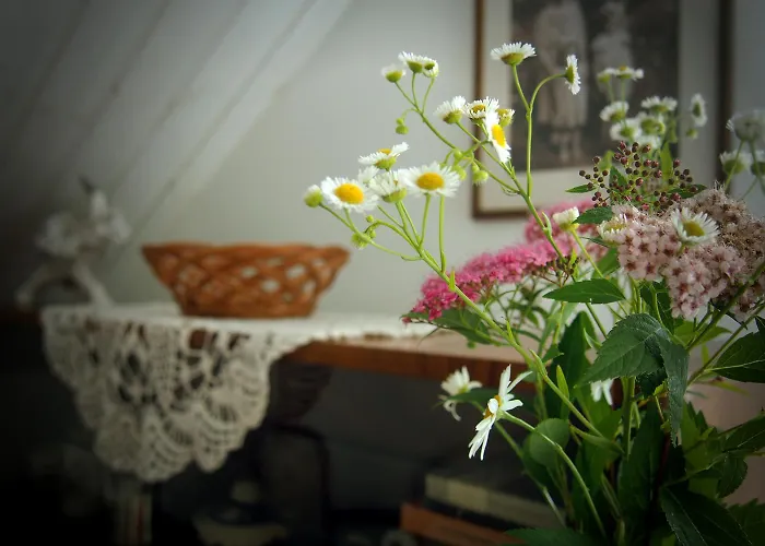 Séjour à la ferme Alpakarium, Hodowla Alpak & *