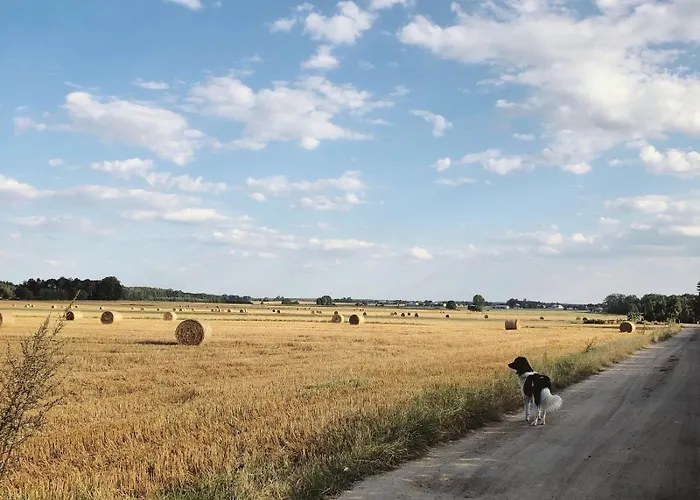 Séjour à la ferme Alpakarium, Hodowla Alpak & *