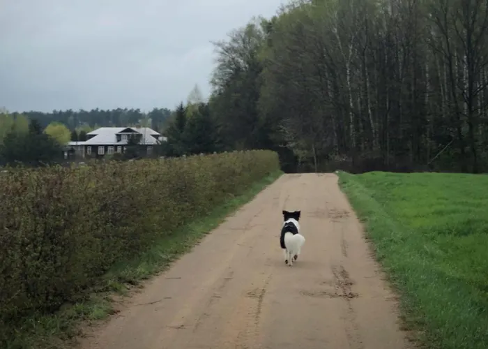 Séjour à la ferme Alpakarium, Hodowla Alpak & Stara Kornica
