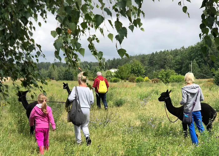 Séjour à la ferme Alpakarium, Hodowla Alpak & Stara Kornica